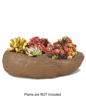  Stone Like Concrete Succulent Planter | Plant Pot | Dahlia
