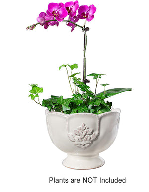  Floral Textured White Porcelain Succulent Planter | Plant Pot Bonsai | Dahlia