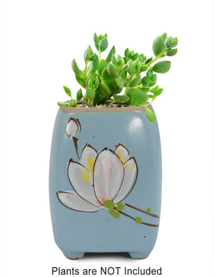  Colorful Hand Painted Flower Ceramic Succulent Planter | Plant Pot Bonsai | Dahlia